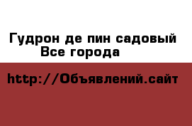 Гудрон де пин садовый - Все города  »    
